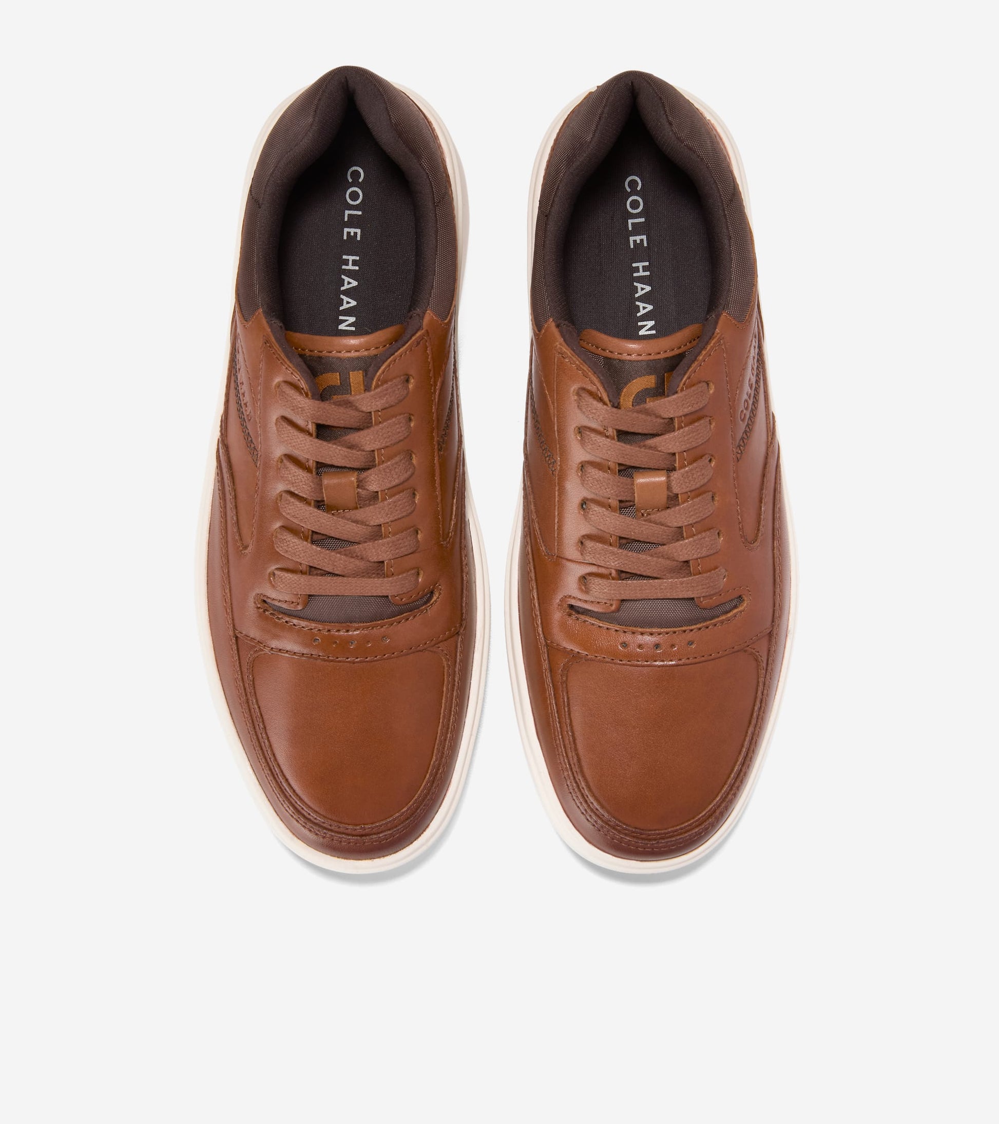 C42230:CH BRITISH TAN / CH DK CHOCOLATE / IVORY