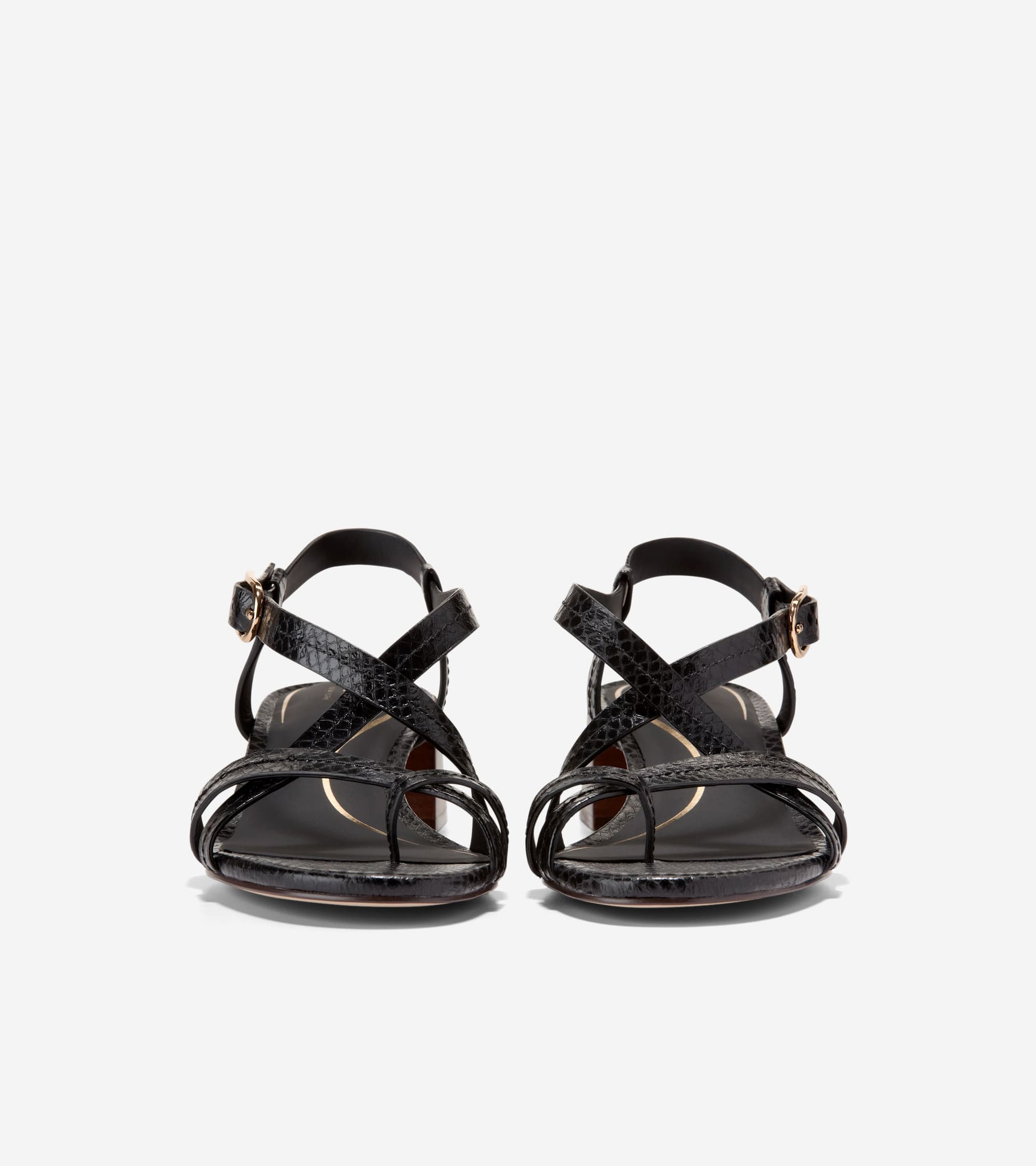 W36595:BLACK GLOSSY SNAKE PRINT LTHR