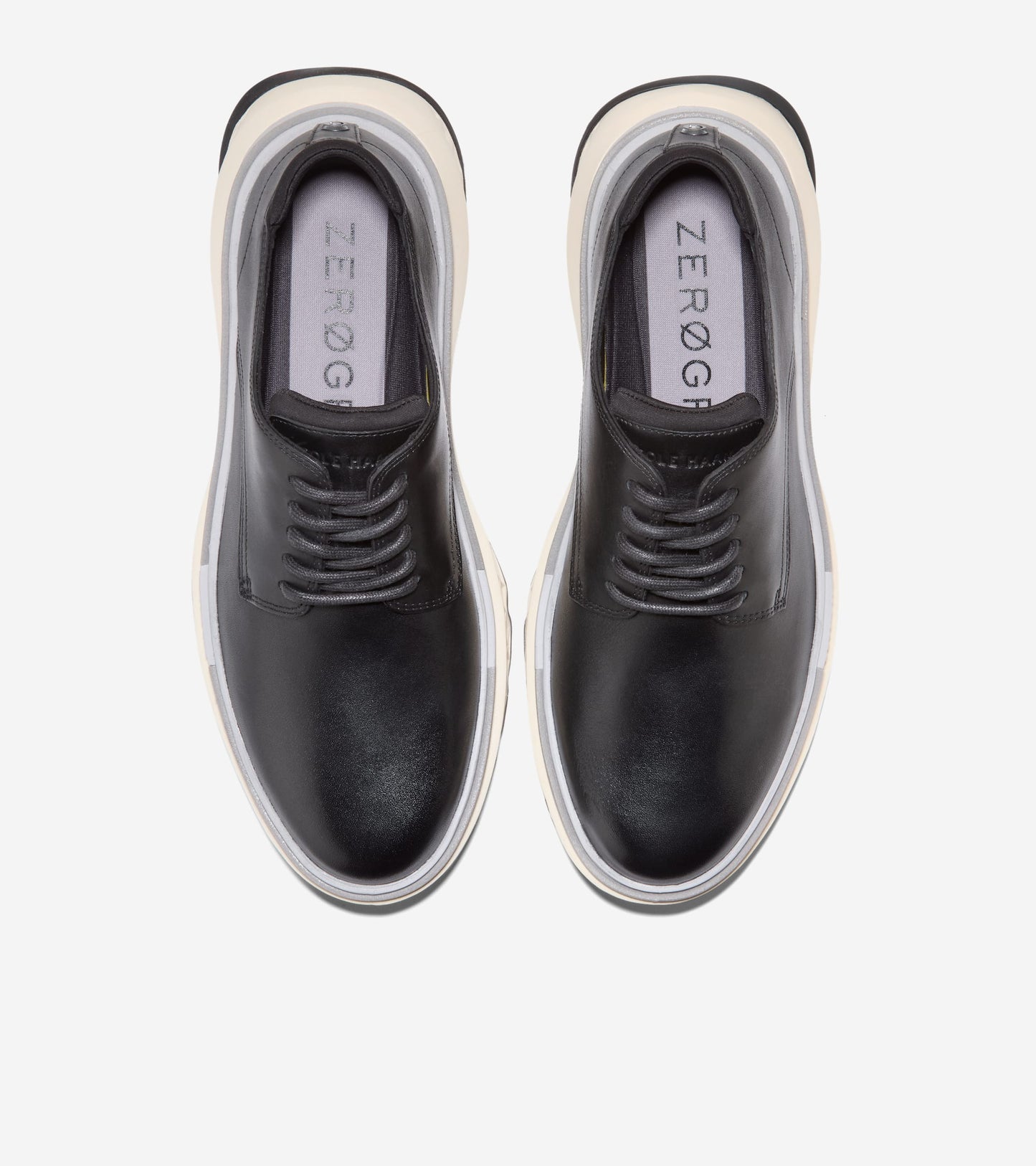 C42079:BLACK / MICROCHIP / IVORY