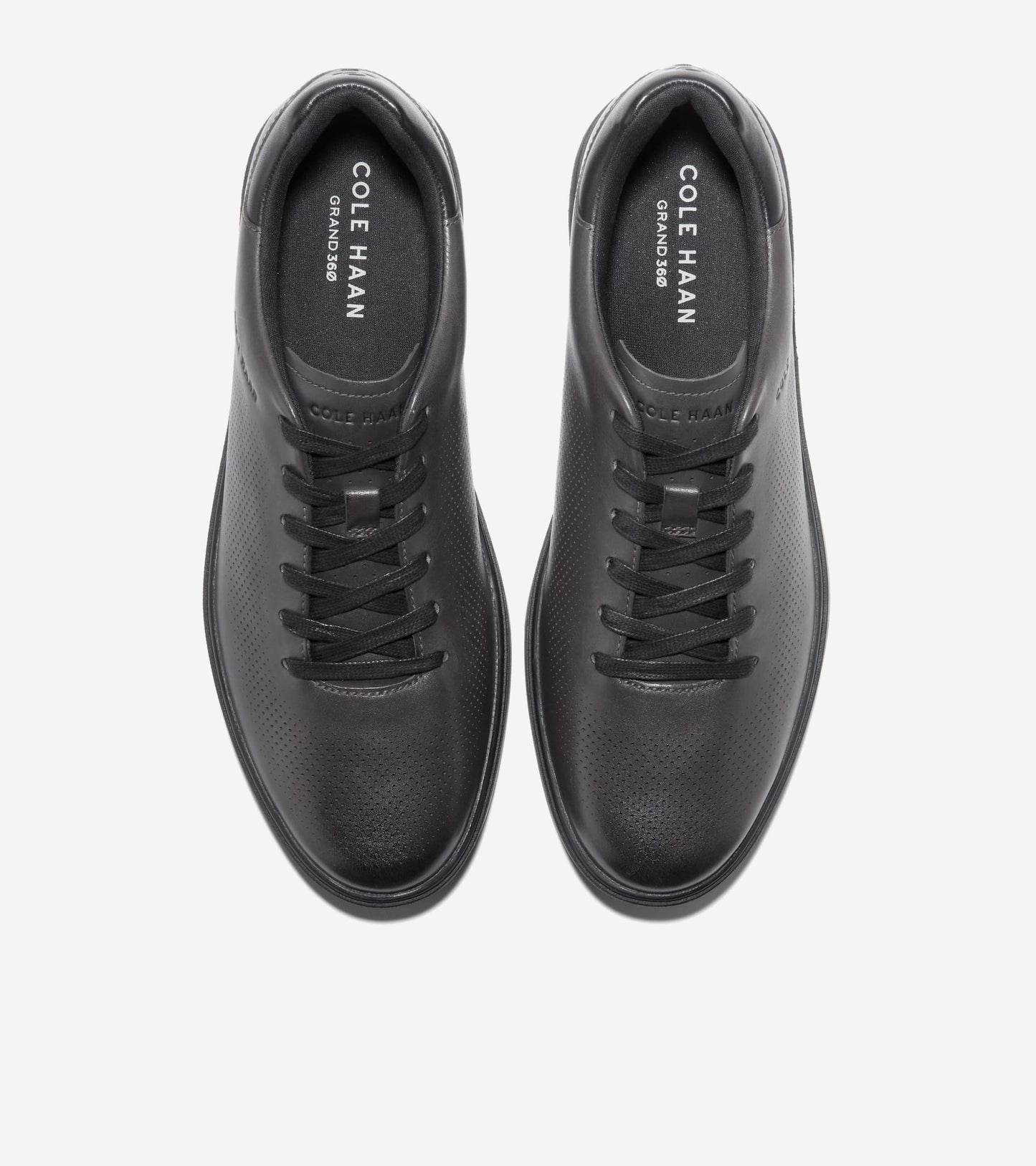 C41349:RAVEN / BLACK / SILVER BIRCH