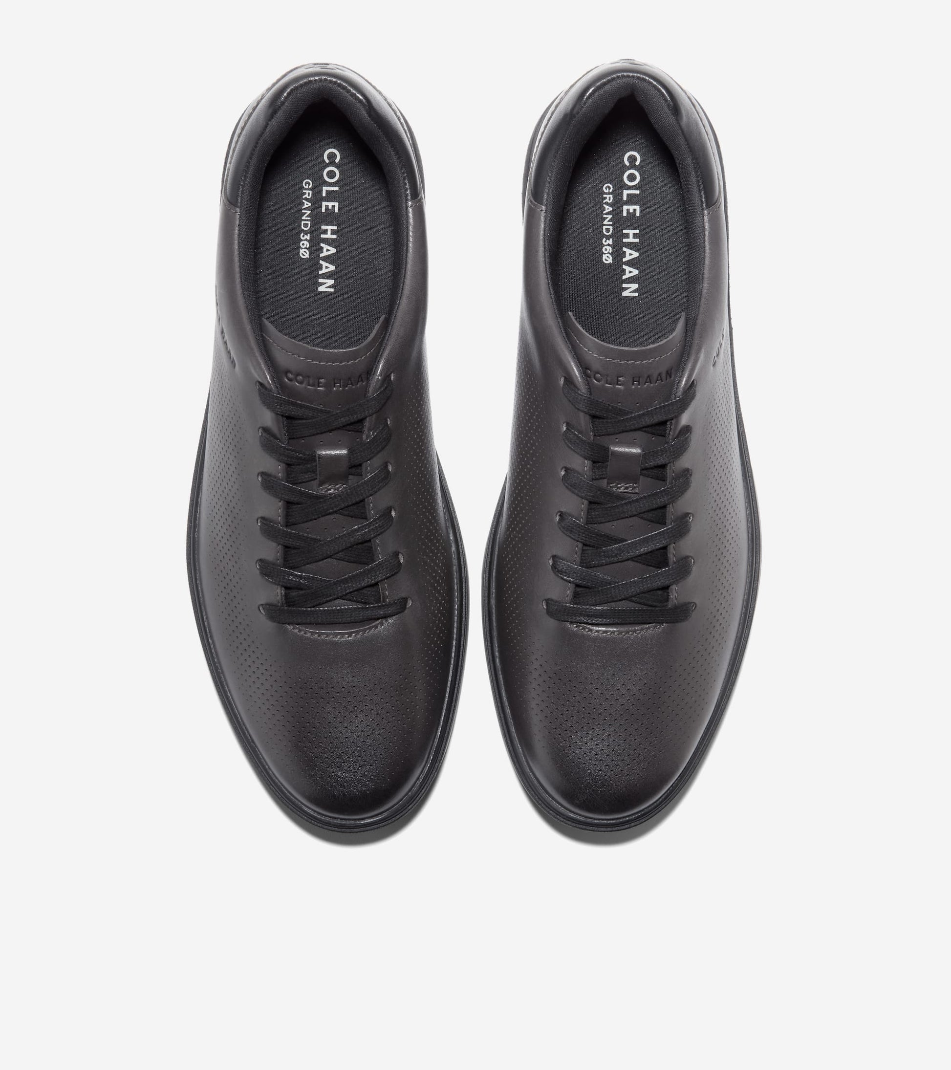 C41349:RAVEN / BLACK / SILVER BIRCH