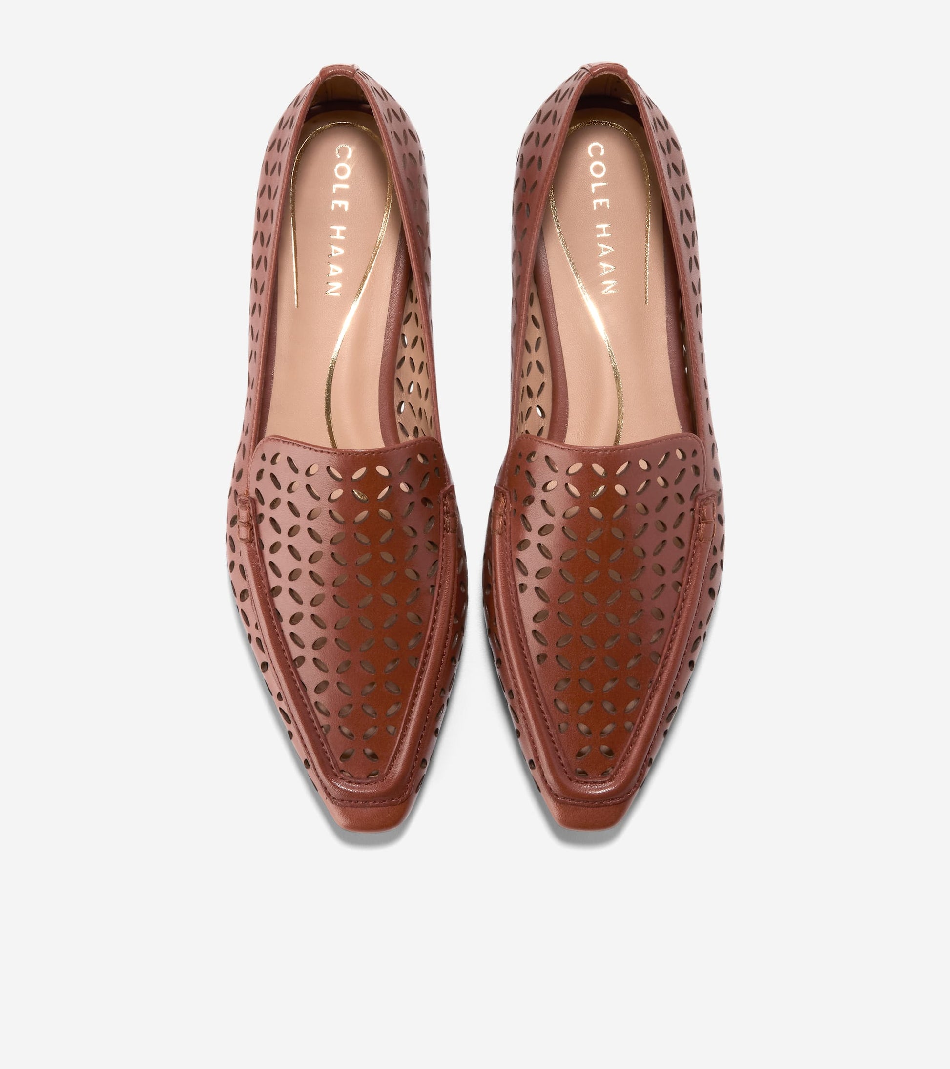 W33706:CH DK CUOIO PERFORATED LTR