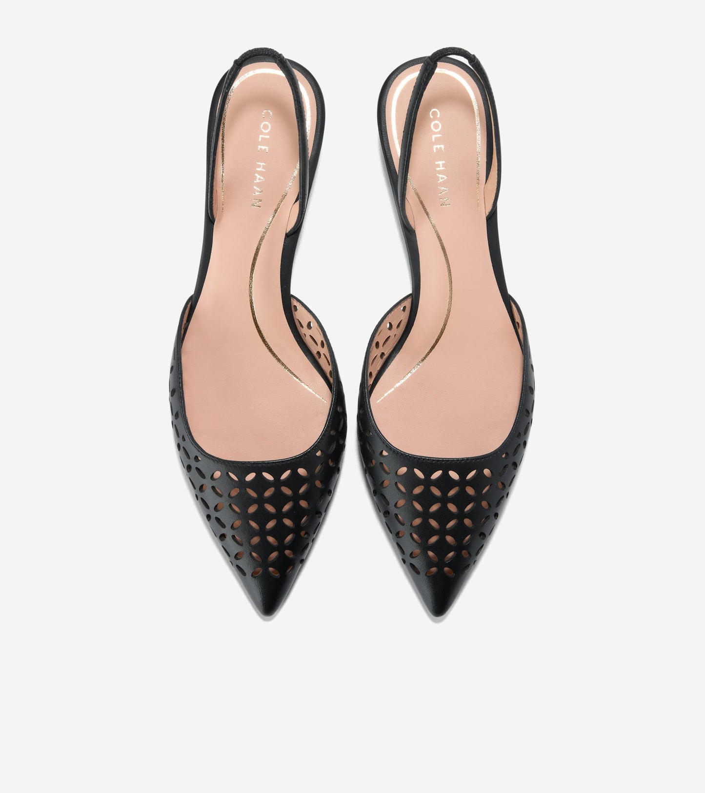 W33708:BLACK PERFORATED LTR