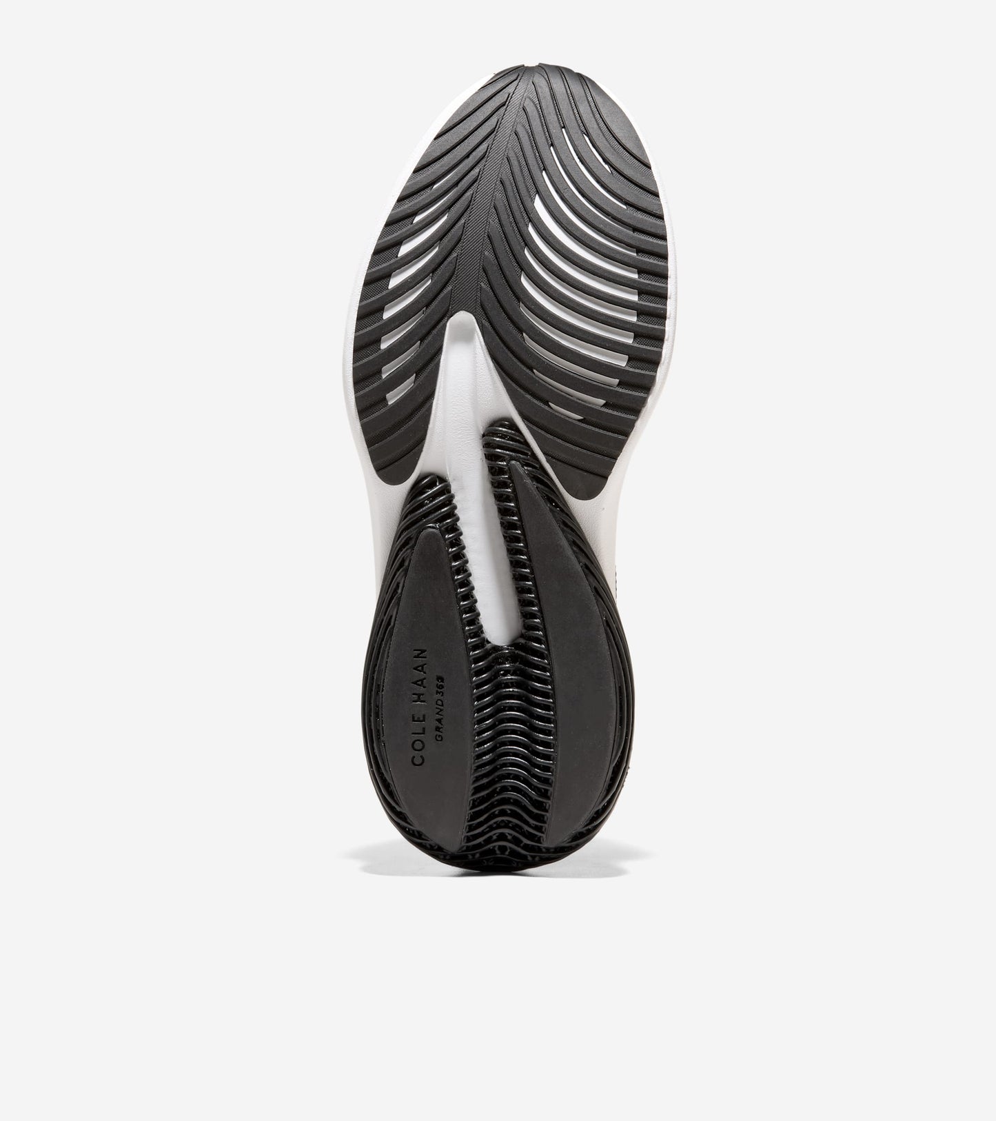 W37709:BLACK / WHITE