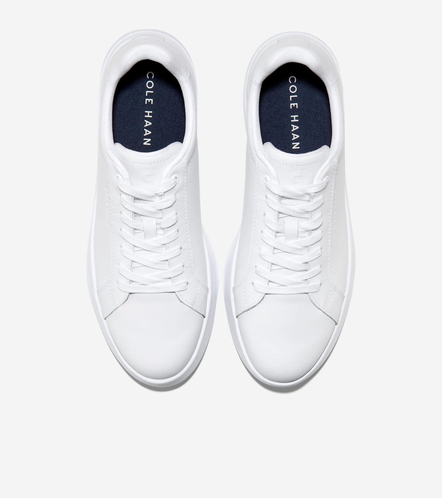 C42806:OPTIC WHITE / OPTIC WHITE