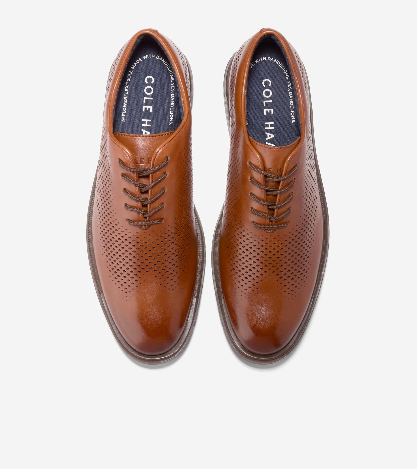 C40442:BRITISH TAN