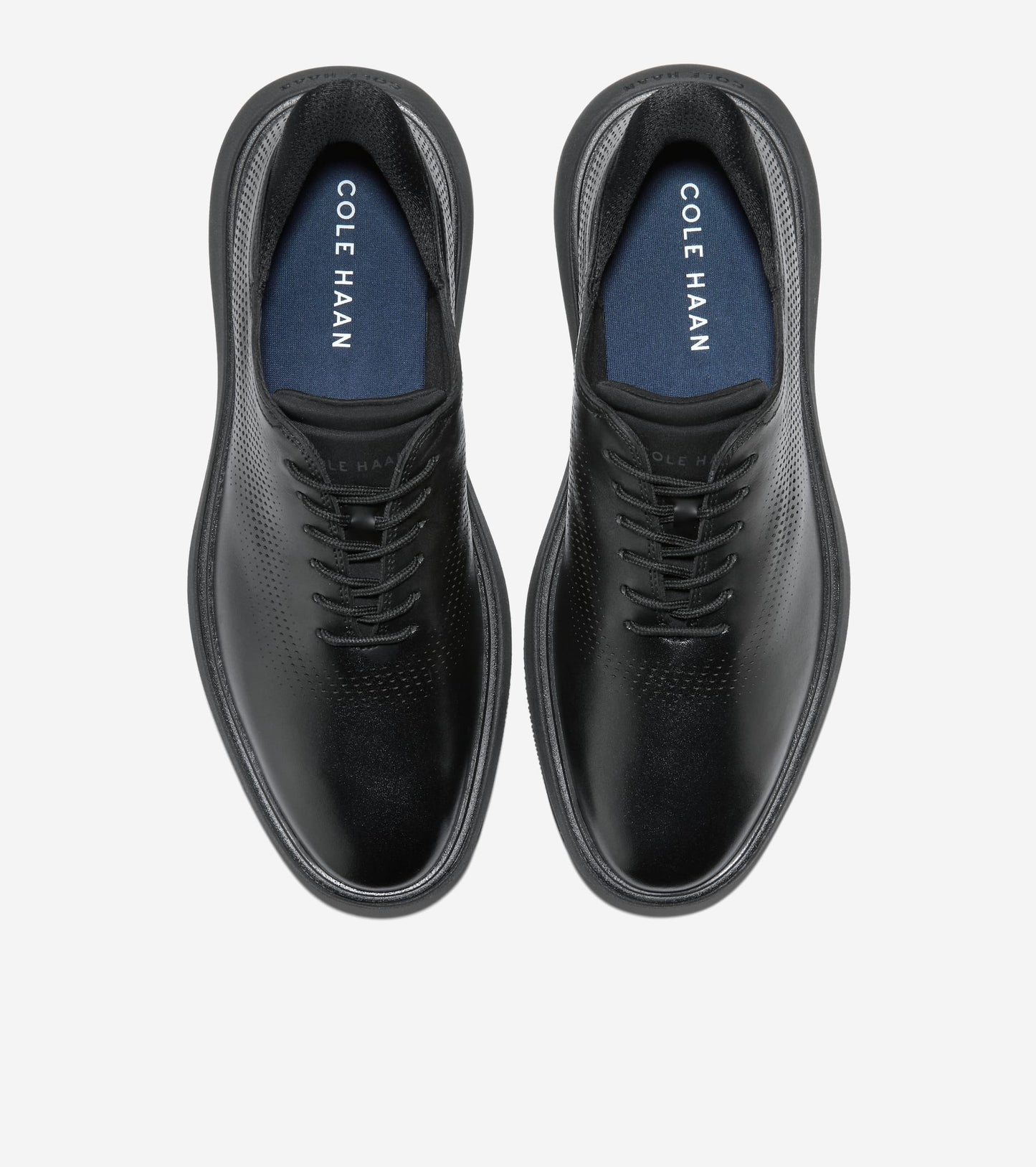 C43895:BLACK / BLACK