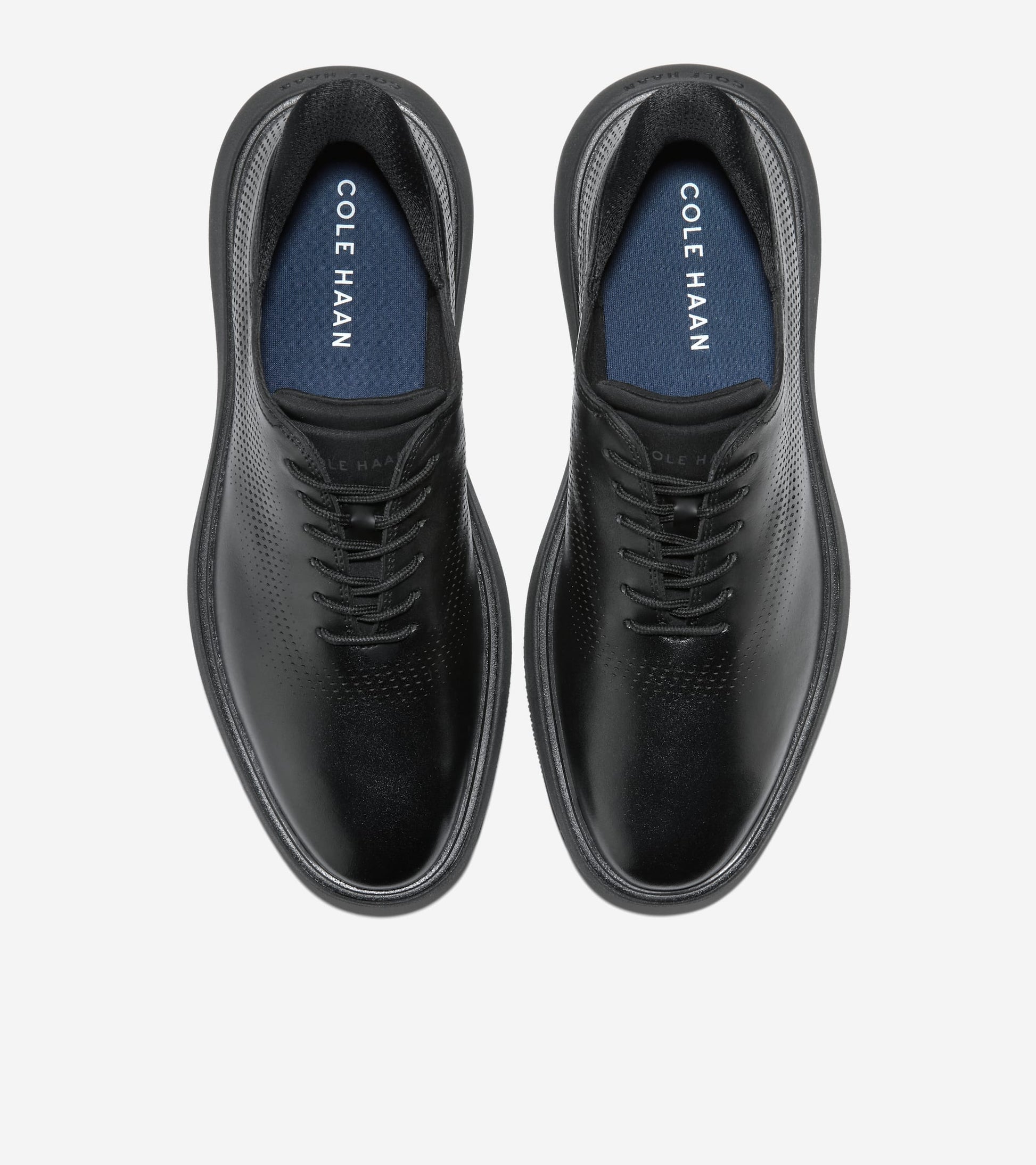 C43895:BLACK / BLACK