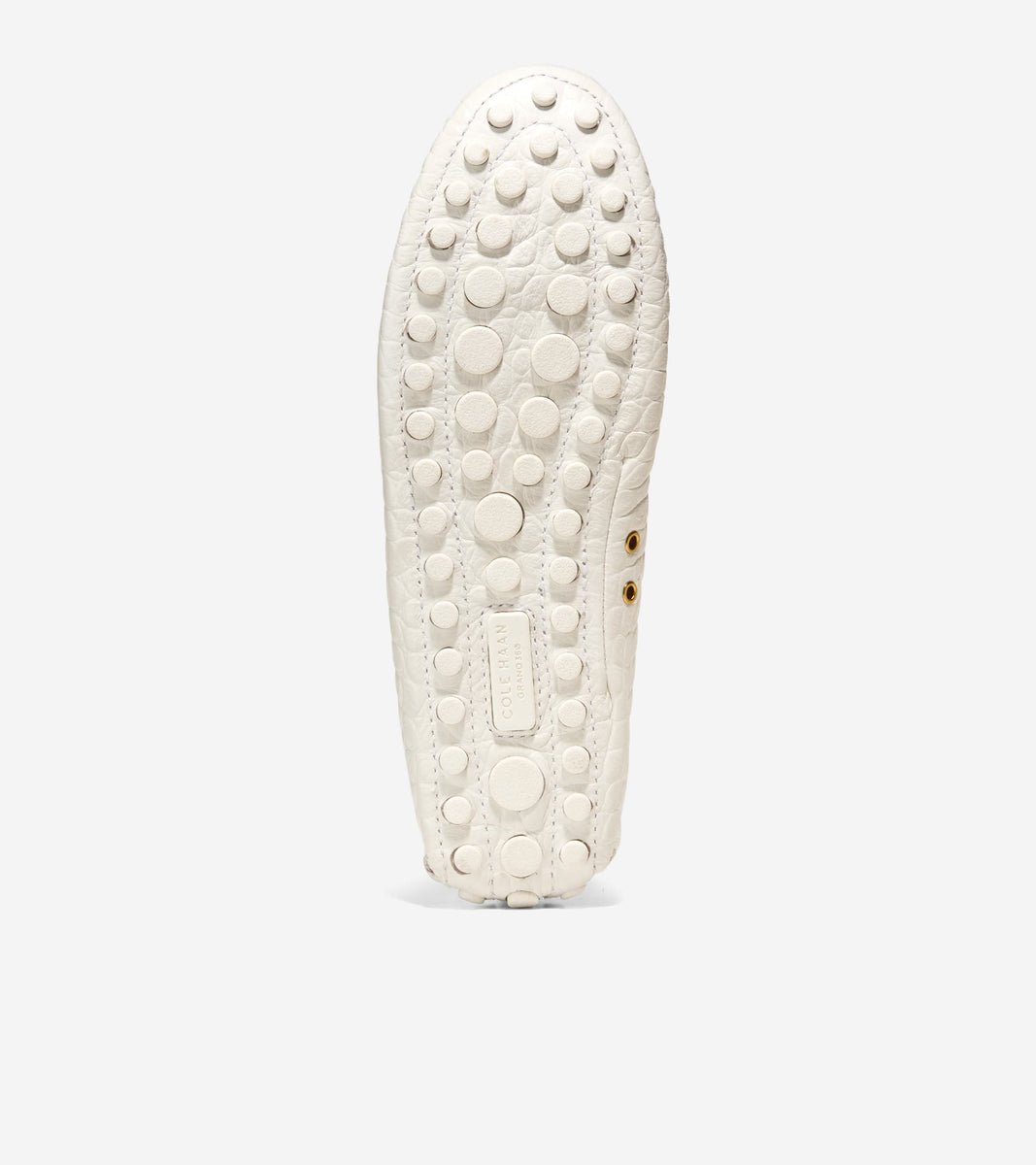 W32076:IVORY CROC PRT LTR